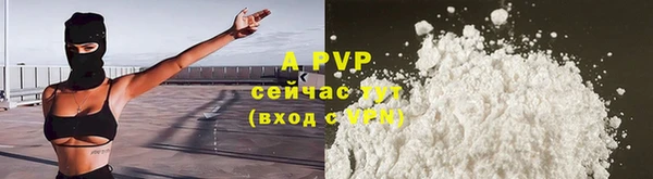 МДПВ Богородск