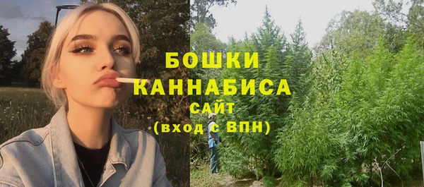 бошки Богородицк
