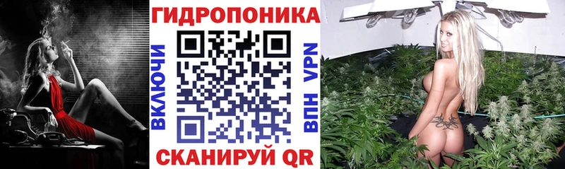 кракен как войти  Кирс  Конопля White Widow 